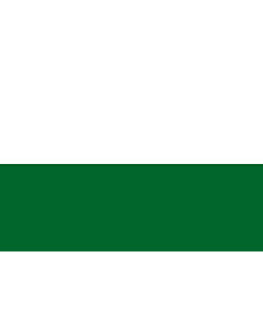 Fahne: Steiermark