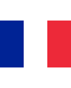 Fahne: Saint-Barthélemy