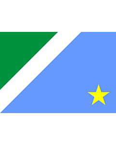 Fahne: Mato Grosso do Sul