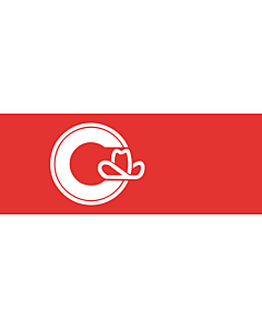 Fahne: Calgary, Alberta