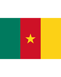 Fahne: Kamerun