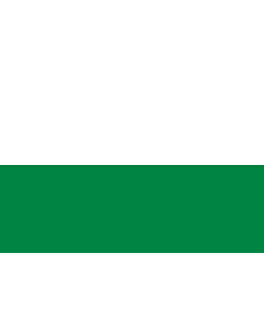 Fahne: Sachsen