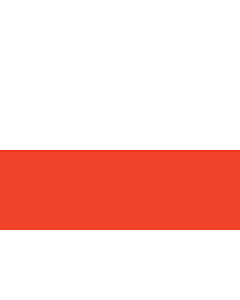Fahne: Thüringen