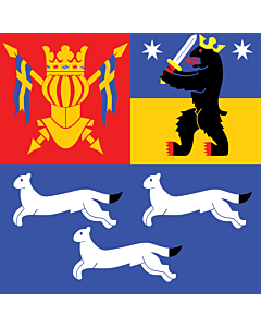 Fahne: West Finnland