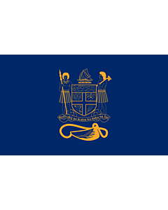 Fahne: Presidential Standard of Fiji | Standard of the President of Fiji bearing the full Coat of Arms of Fiji and a traditional Knot and Whale s tooth in Golden-Yellow