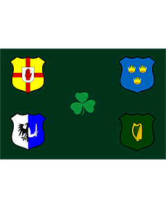 Fahne: Ireland Rugby