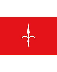 Fahne: Provinz Trieste