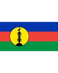 Fahne: Neukaledonien