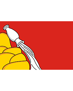 Fahne: Oblast Woronesch