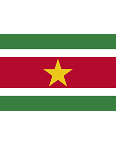 Fahne: Suriname