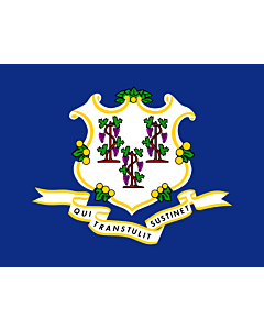 Fahne: Connecticut