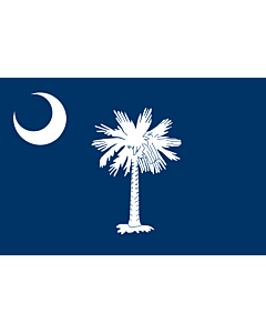 Fahne: South Carolina