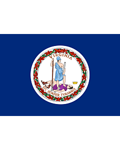 Fahne: Virginia